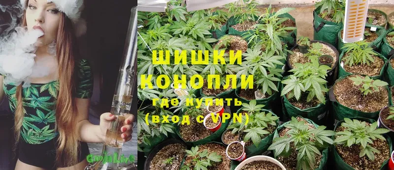 Конопля OG Kush  Макушино 